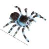 Color Spider Plush Stuffed Toys Cartoon Spider Plush Soft Animals Doll Creative Room Decor Insect Enthusiast Gift