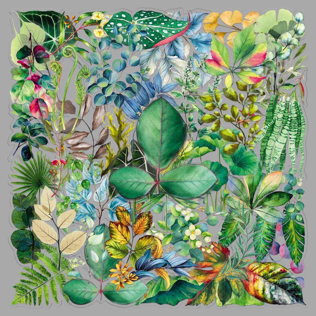 50 Transparent PET Leaf Stickers: Cartoon Plants & Green Leaves for DIY Decoration