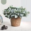 1Pc Green Cineraria Simulation Flower Planting Hairy Silver Leaf, Fake Flower Green Plant