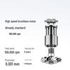 Laifen SE Lite High-Speed Hair Dryer CN plug (adapter included)