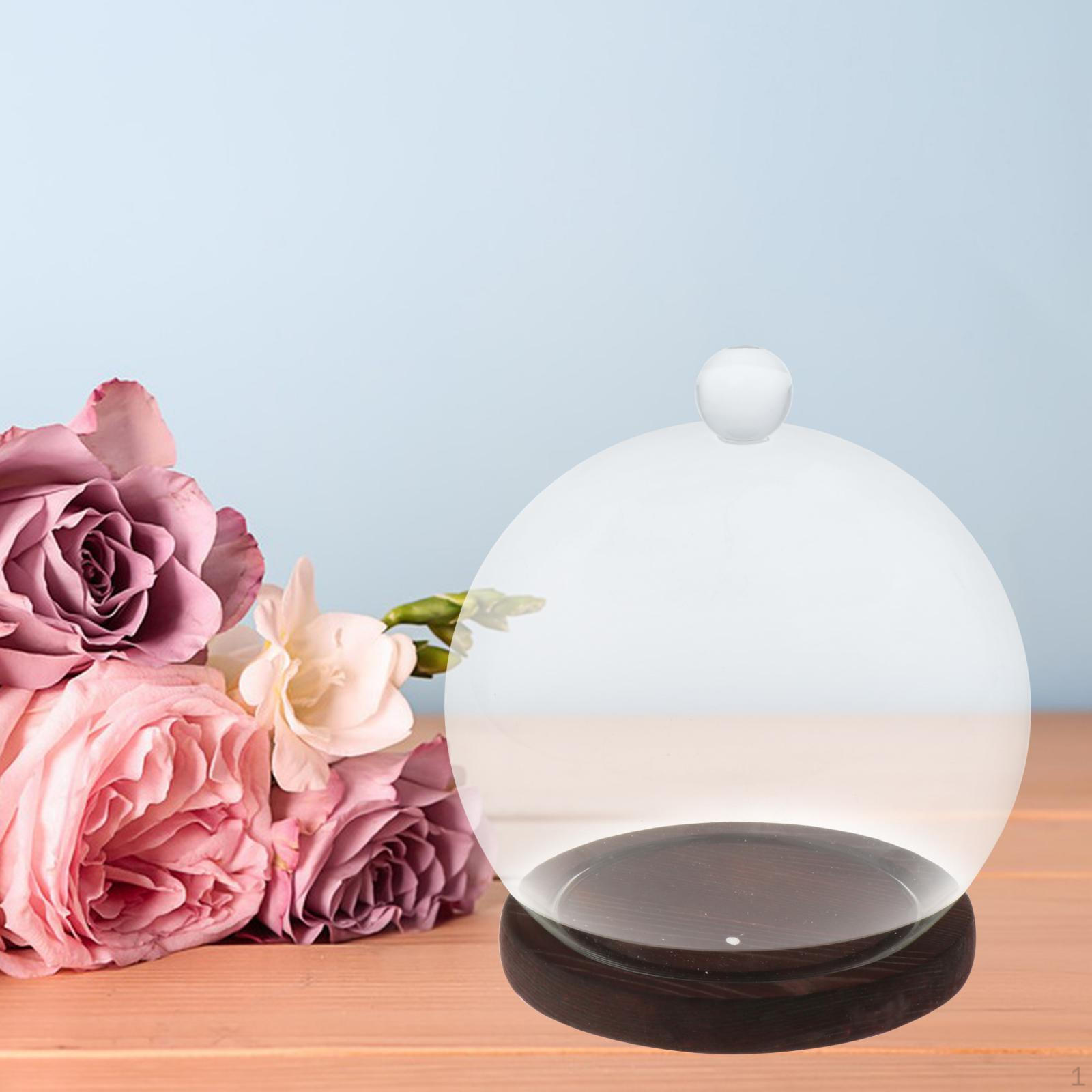 

Прозрачный стеклянный купольный шкаф для демонстрации домашнего декора и подарков dark brown base