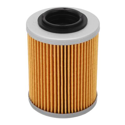 Motorölfilter Zylindrischer Motor Kraftstofffilter Ersatz für RYKER Ally Edition 900 ACE