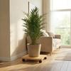 Potted Plant Stand with Wheels Durability Versatile Indoor Outdoor Practical Heavy Duty Casters