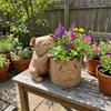 Grappig Mopshondje Figuur Plantenhouder Dierenvormige Hond Vetplant Pot Tafelblad Display