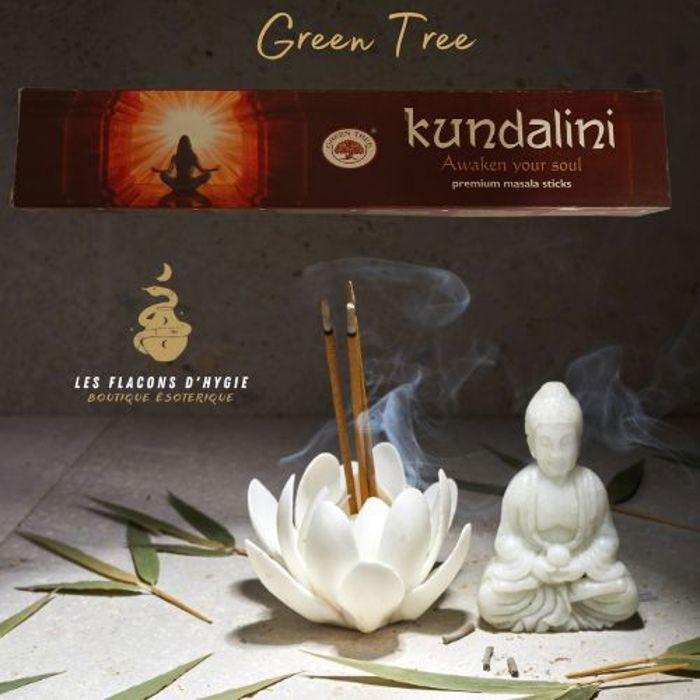 Encens - Green Tree - Kundalini - Parfum Mystérieux - Parfum De Guérison - Atmosphère Paisible