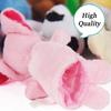 10 Pcs Cartoon Biological Animal Finger Puppet Plush Toys Dolls Child Baby Favor Mini Decoration Room  Accessories