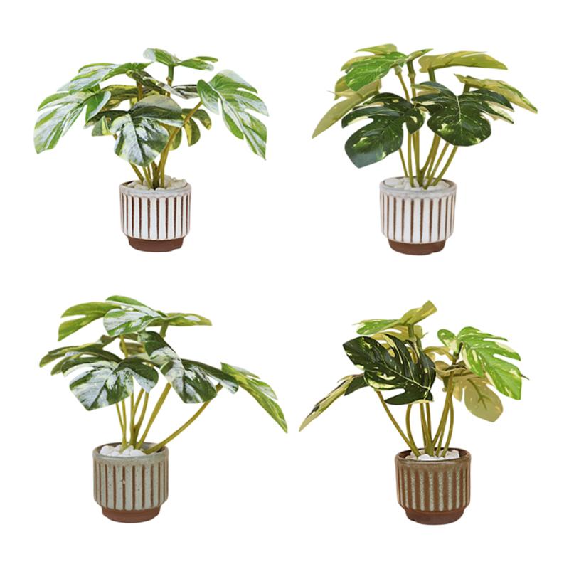 1/12 Dollhouse Mini Simulation Monstera Potted Model Dollhouse Green Plant Decoration Dolls House Living Decor Accessories