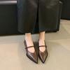 Low Heels Pointed Single Shoes Women's 2025 Spring and Autumn New Mary Jane Women's Shoes Thick Heels