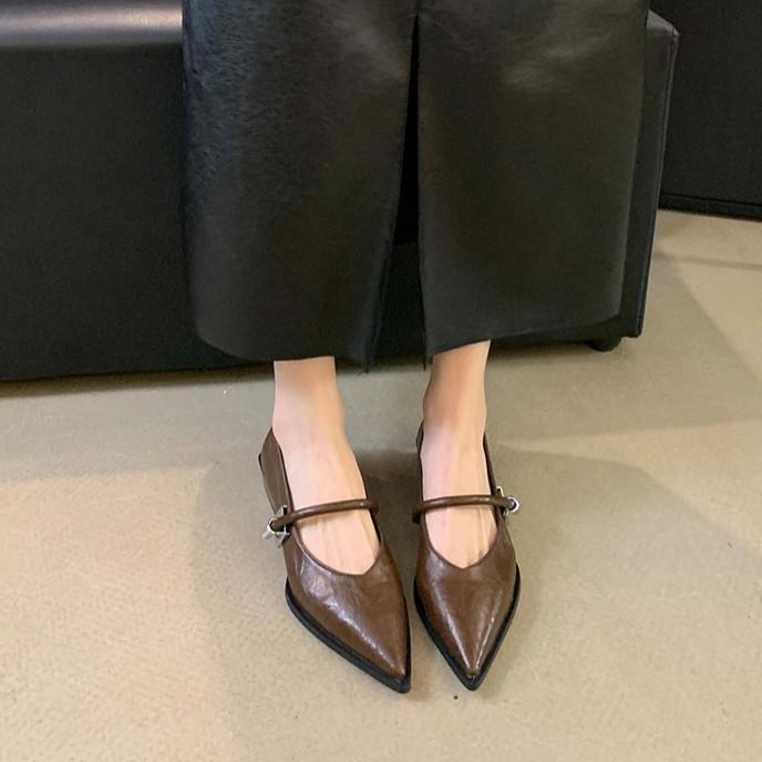 Low Heels Pointed Single Shoes Women's 2025 Spring and Autumn New Mary Jane Women's Shoes Thick Heels