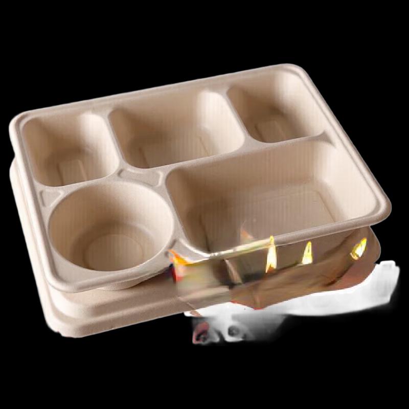Xitianlong Biodegradable 6-Compartment Disposable Food Containers