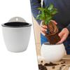 Wall-Mounted Flower Pot Automatic Water-Absorbing Plastic Circular Creative Wall Hanging Green Luo Small Flower Pot