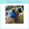 Durable Tpr Spiky Ball Toy For Dogs 6 Vibrant Colors Available