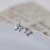 2023 Women's High-End Zircon Star Earrings – New Fashionable and Unique Design