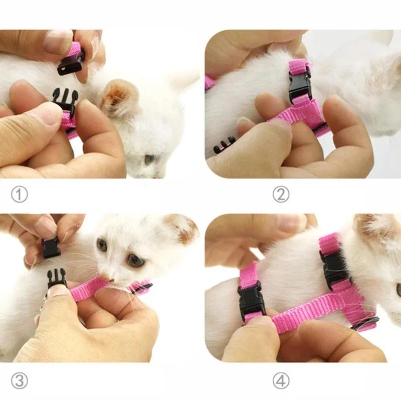 Engelsflügel Haustier Kaninchen Geschirr und Leine Niedliches Katzen Hasen Zubehör Personalisierte Hamster Kleidung für Kleintiere