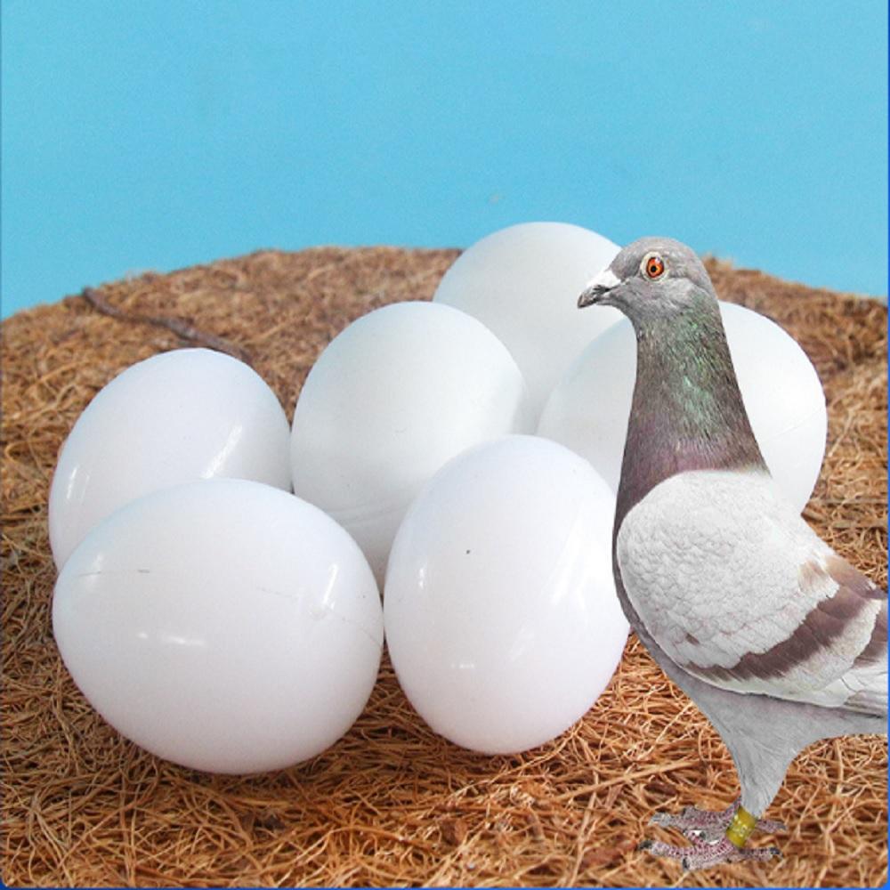 6 Pcs White Solid Plastic Pigeon Eggs Dummy Eggs Improve Laying Survival Rate