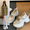 2025 autumn new bow shallow mouth casual single shoes women's round head Velcro thick sole small Mary Jane shoes