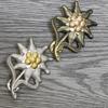 Odznaka 2w II Edelweiss Armii Niemieckiej Pin do Klapy Górskich Wojsk Niemieckich Broszka Edelweiss Ozdobna Odznaka dla Kobiet Mężczyzn