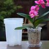 Transparent Nursery Potsplant with Tray Seed Starting Pot Flower Plant Contain Planters Root Control Orchid Transparent Pot