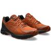 Asics GT 2160 NS Earthenware Pack - Rusty Brown Unisex Sneakers Graphite-Grey 1203A375-200