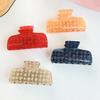 Hair Claw for Women, Floral Print Hair Clip, Transparent Shark Hair Claw, Versatile Hair Accessory for Long Short Hair Daily Use
