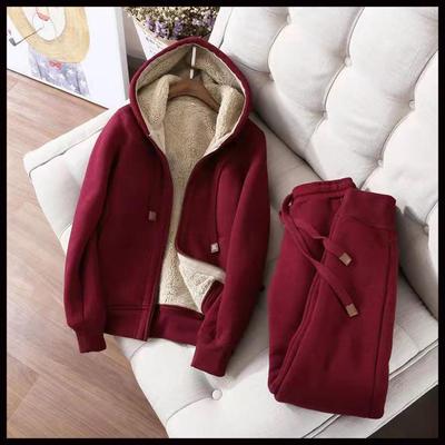 Conjunto Feminino da Moda 2024 de Moletom com Forro de Lã e Espessura Dupla para Outono/Inverno, Roupa Esportiva Casual