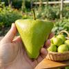 Fruchtformform zum Wachsen einzigartiger dreieckiger kubischer Früchte Transparente Kunststoffform Wiederverwendbare Gemüse-Frucht-Wachstumsform für Tomate Erdbeere