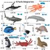 Ocean Wildlife Simulation Toy Set: Sea Turtle, Shark, Whale, Sea Lion, Tiger Shark, Manta Ray, Seal, Grouper.