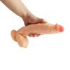 MoDi Lifelike Dildo Anal Sex Toys Men Women Sex Toys