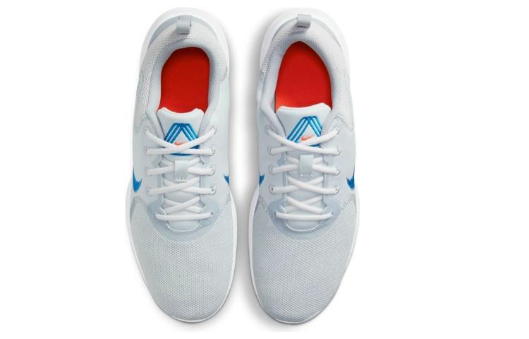 Men's Sneakers Nike Flex Experience Run 10 'Pure Platinum Imperial Blue'