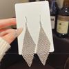925 Sterling Silver Full Diamond Tassel Earrings – High-End European & American Style, Super Shiny, Luxurious Ear Jewelry for Women.