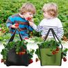 Strawberry Grow Bag With 4 Side Growth Pockets Heavy Duty Non-Woven Felt Hanging Floor Cultivation Grow Bag For Plants