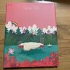 [USED] BTS GRAPHIC LYRICS Special Package