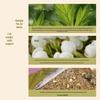 Mugwort Sleep-Aid Cervical Pillow: Herbal Neck Support & Waist Cylindrical Cushion