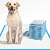 Super Absorbent Pet Paper Urine Pad Dog Training Paper Urine Pad Disposable Healthy Paper Urine Pad Cat and Dog Quick Drying