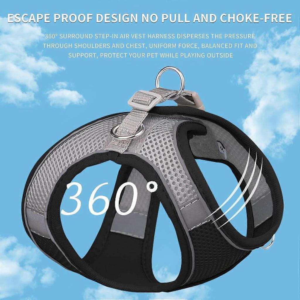 No Pull Dog Harness & Leash Set, Step-in Adjustable Vest with Padding for Hot Weather, Soft Handle Leash, Easy On for Small & Medium Dogs, Pure Pink