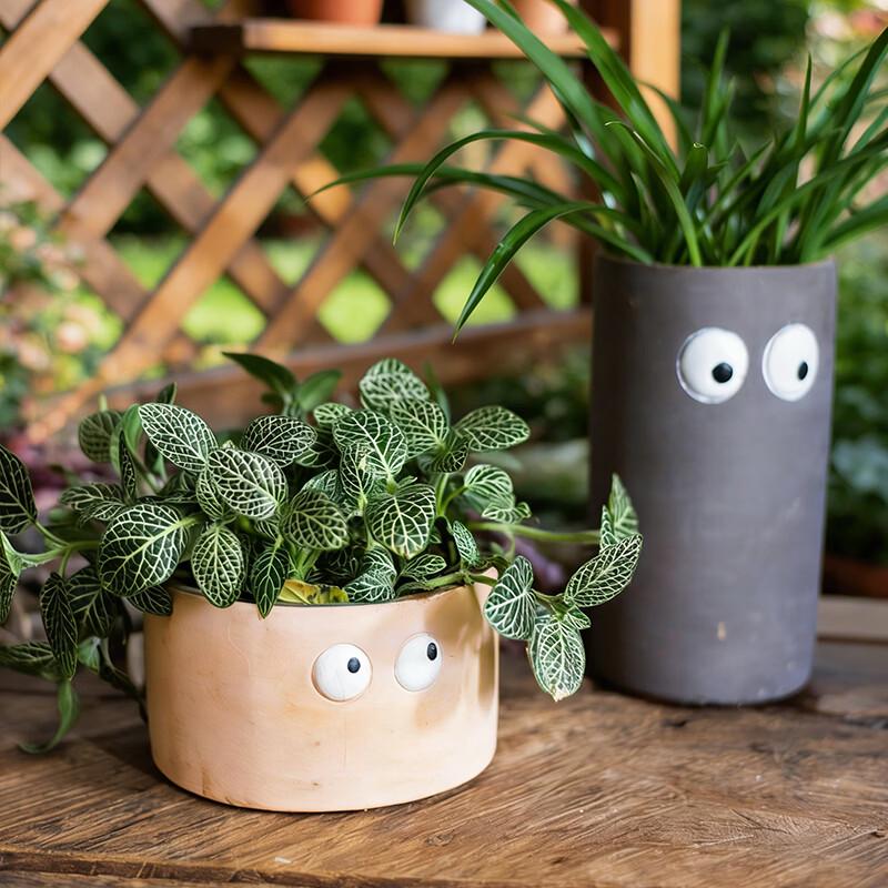 Creative Big Eye Cartoon Succulent Planter
