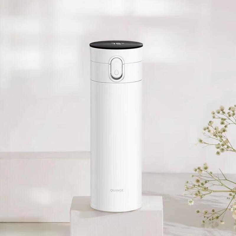 Smart Insulated Tea Infuser Mug with Temperature Display