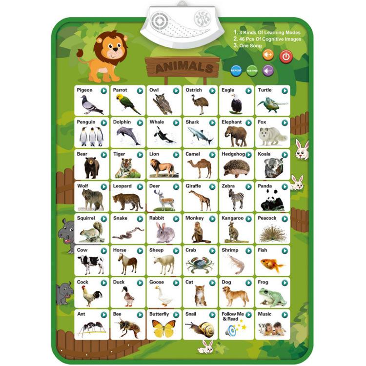 Ovoce Jídlo Zvířata Můj den tělo Emoce Anglická slova Učení Škola A4 Plakáty Grafy děti Mateřská škola Dekorace třídy