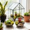 Mini Goldfishs Bowl, Decorative Aquarium, Desktop Transparent Landscape Fish Tank, Ornamental Turtle Tank, For Home Decor