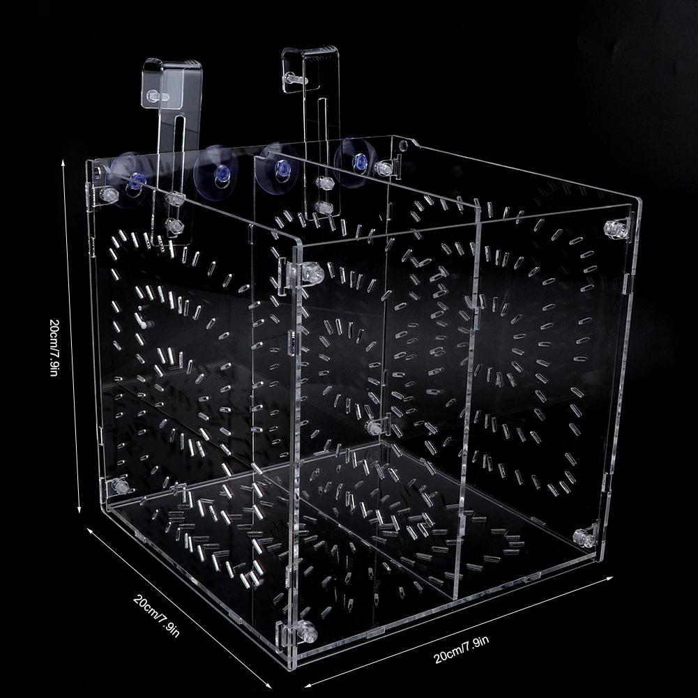 Isolamento Allevamento Piantine Incubazione Riproduzione per Acquario Acquario(20x20x20cm)