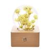 Unique Hot Item 2026 Trends New Years Innovative Product Ideas In Latest Real Flower Night Light Holiday Festival Gift Set