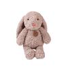 Bangbang Rabbit Plush Toy - Cute Lop-Eared Rabbit Teddy Bear Doll, Perfect Qixi Gift for Children and Girls