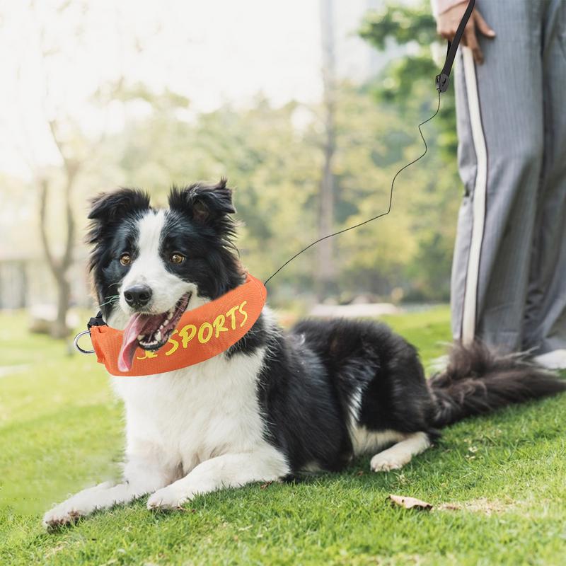 

Dog Collar And Leashes Set Leashes And Collar Set 2 In 1 Adjustable Fit Chew-Proof Escape-Proof Harness For Training Obedience CHINA