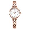 Ladies Bracelet Watch Fashion Trend Student Casual Waterproof Quartz Watch Watch