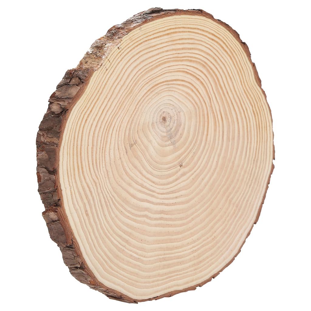 Fette di Legno Naturale Cerchi di Legno Non Finiti Ornamenti Fette di Legno Irregolari con Corteccia 22.5x23cm 8.9x9.1in
