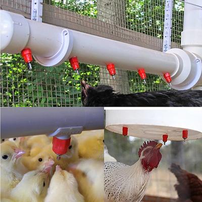 Chicken Drinker Waterer Nipple Rooster Hen Quail Pigeon Bird Automatic Water Dispenser Poultry Farming Equipment 10 Pcs