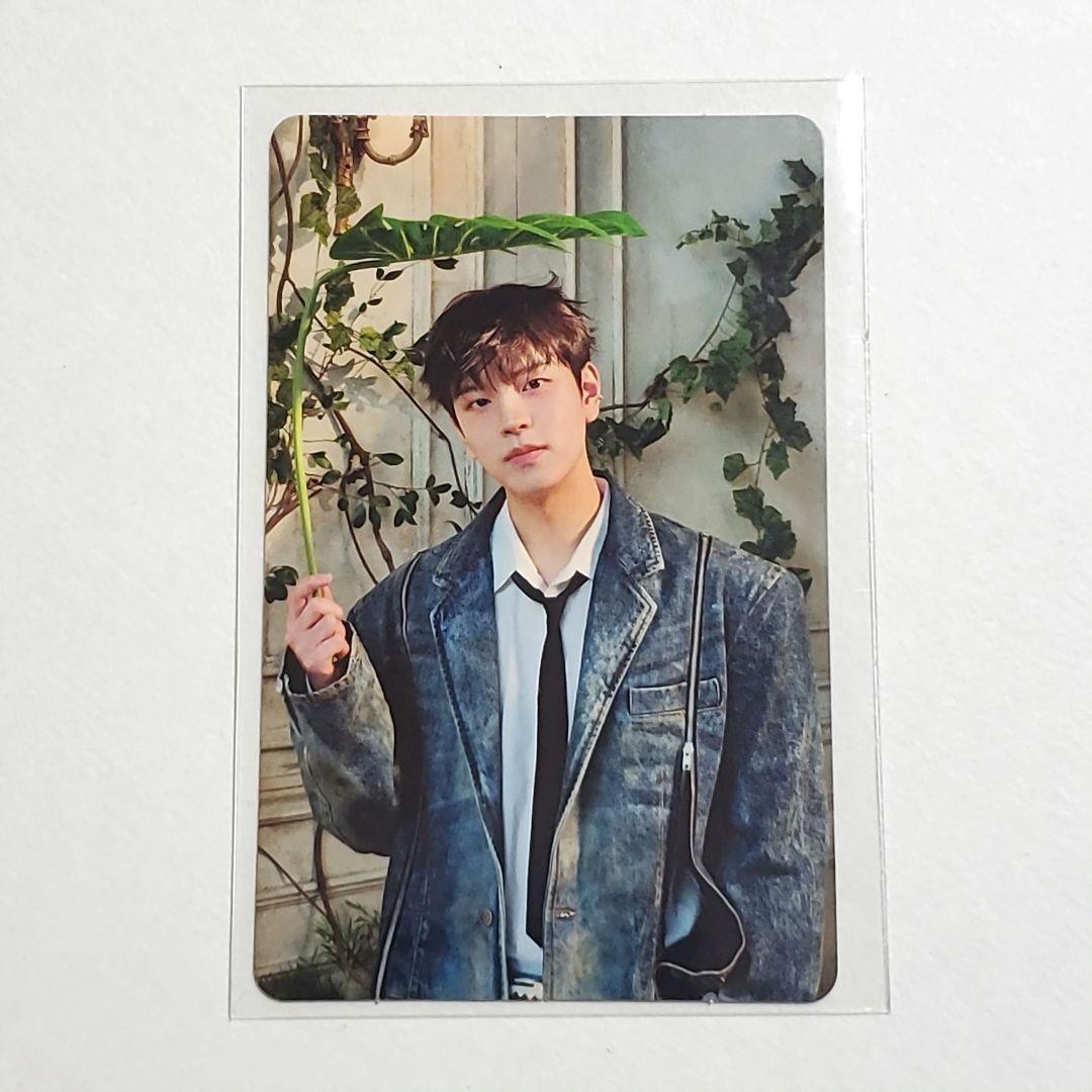 

[USED] Stray Kids Hollow First Press A Edition Trading Card Seungmin Stray Kids