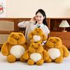 Xiaohongshu-Style Cartoon Dun Dun Bear To Rabbit Plush Toy - Cute Children's Birthday Gift