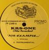 12inch Record KRSONE  THE TEACHA  For Example ....  Tell The Devil H FP2349 Front Page Ente 2000 US Rap  HipHopRB Used