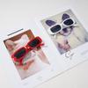 Fashion Summer Sunglasses Aesthetic Summer Shades Eyeglasses For Men